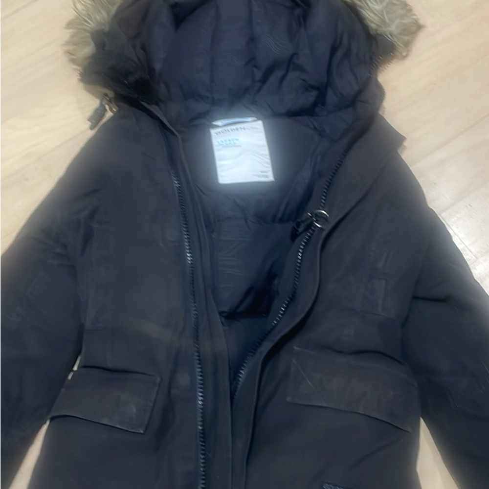 Aritzia Larsen Parka in Cream